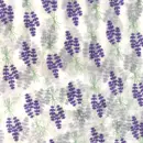 Silkepapir Lavendel